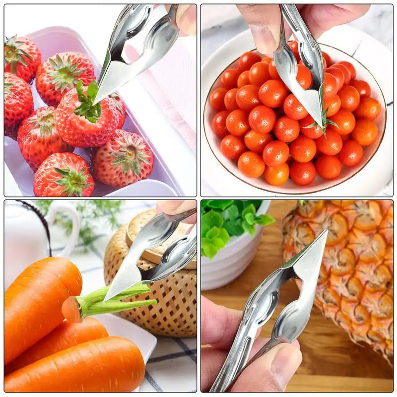 Stainless Steel Strawberry Huller and Potato Corer Xerxes Eagles