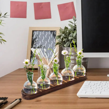 Desktop Glass Planter for Office or Home Xerxes Eagles