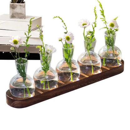 Desktop Glass Planter for Office or Home - Xerxes Eagles